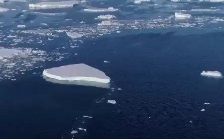 مخاوف 2024.. تحذيرات من تحول المناخ إلى وحش كاسر متطرف