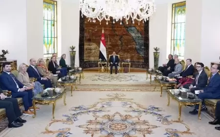 السيسي لوفد من الكونغرس: الأولوية الآن هي وقف النار في غزة
