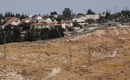 مستوطنون ينصبون أعمدة كهرباء لإقامة بؤرة استيطانية جنوب بيت لحم