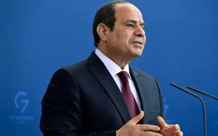 السيسي يحدد "الأولوية" فيما يخص حرب غزة