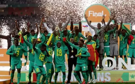 الإعلان عن جوائز كأس إفريقيا