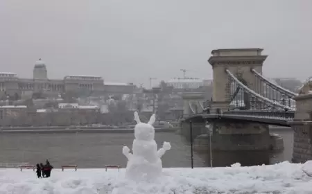 بودابست.. إطلاق اسم هرتزل على الساحة أمام أكبر كنيس في أوروبا