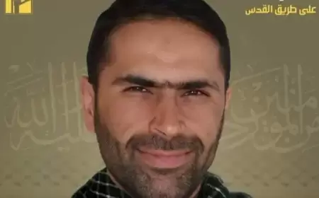 مقتل قيادي ميداني بارز بحزب الله بقصف مسيرة إسرائيلية