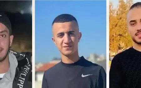 الاحتلال يغتال 3 شبان شرق طولكرم