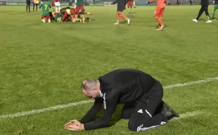 بلماضي يتخوف من درجة الحرارة قبل كأس إفريقيا