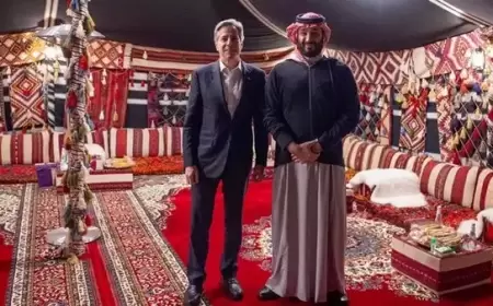 ولي العهد السعودي يؤكد لـ"بلينكن" أهمية وقف الحرب بغزة