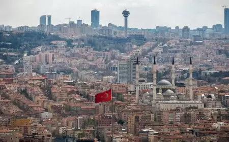 نوفوستي: تركيا تبحث مع روسيا والأمم المتحدة استئناف صفقة الحبوب