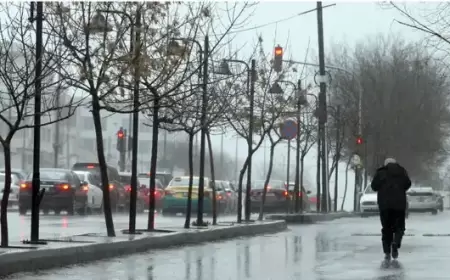 الطقس: منخفض جوي مصحوب بكتلة هوائية باردة