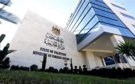 "الخارجية": آن أوان الانتصار للعدالة الدولية ونطالب الدول بدعم خطوة جنوب إفريقيا