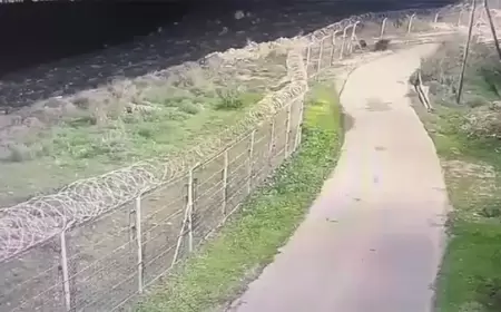 مصادر تنفي علاقة شهداء الخليل بعملية مستوطنة "أدورا"