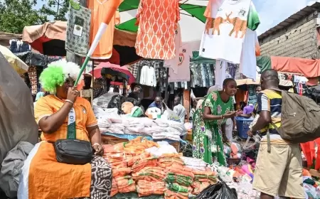 كأس إفريقيا.. كوت ديفوار من الحرب الأهلية إلى إنفاق مليار دولار