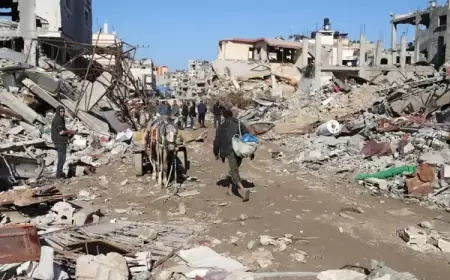 منظمة: الأوضاع الإنسانية في رفح وصلت إلى نقطة الانهيار