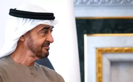 محمد بن زايد يعزي أردوغان بمقتل الجنود الأتراك