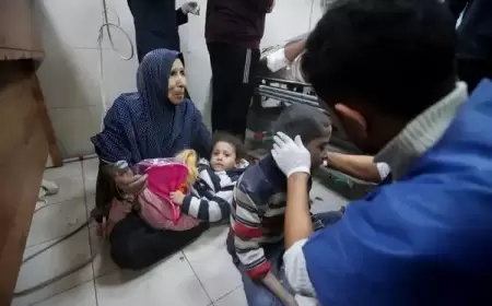 في اليوم الـ101 من العدوان: تواصل القصف على قطاع غزة مخلّفا عشرات الشهداء والجرحى