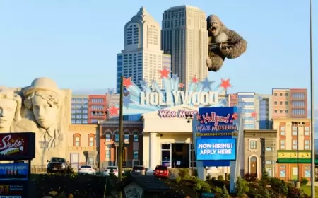 كينغ كونغ الشهير لم يقفز من أعلى برج.. هكذا انقرض