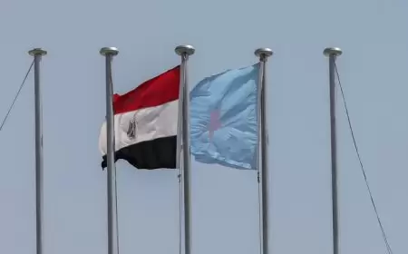 الصومال توجه رسالة للعرب من مصر حول إثيوبيا