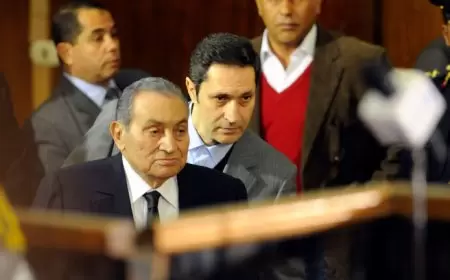 علاء مبارك لرئيس الوزراء المصري: ده كلام!