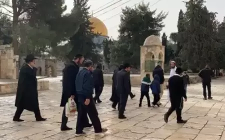 العشرات من المستوطنين يقتحمون الأقصى