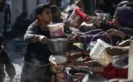 العدوان الإسرائيلي يدمر النظام الغذائي والصحي في غزة
