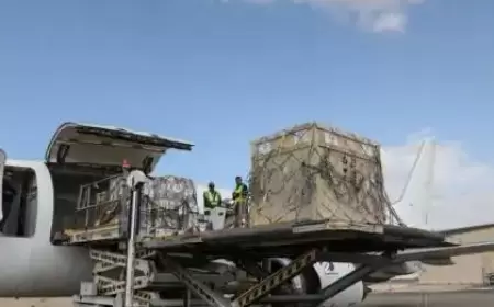 وصول طائرة عسكرية قطرية محملة بالأدوية إلى مطار العريش