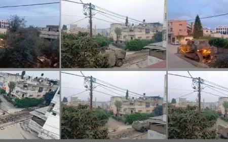 الاحتلال يواصل اقتحام طولكرم ومخيمها: اعتقالات وتجريف شوارع وتدمير ممتلكات