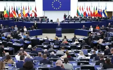 البرلمان الأوروبي يصوت على قرار لوقف إطلاق النار بغزة
