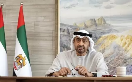 محمد بن زايد يبحث مع زيلينسكي تطورات الأزمة الأوكرانية