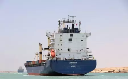 "الحوثيون قوة عسكرية كاملة وليسوا عصابات".. خبير يوضح أثر التوتر في البحر الأحمر على مصر وأوروبا