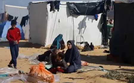 إسرائيل تقتل أُمّين في غزة كل ساعة ونحو 3 آلاف امرأة فقدن أزواجهن