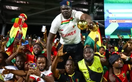 فاجعة مؤلمة.. قتلى وإصابات في احتفالات فوز منتخب غينيا