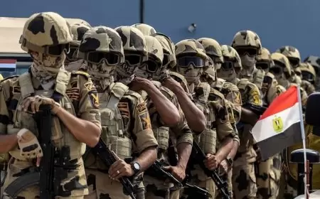 إعلام عبري يحذر من دعوات على الانترنت تطالب جنود الجيشين المصري والأردني بمحاربة إسرائيل