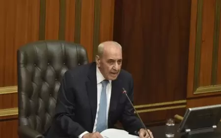 بري ينبه إلى محاولات إسرائيل لتوسيع الحرب
