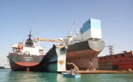 قناة السويس تتدخل لإنقاذ سفينة تعرضت لضربة صاروخية في البحر الأحمر