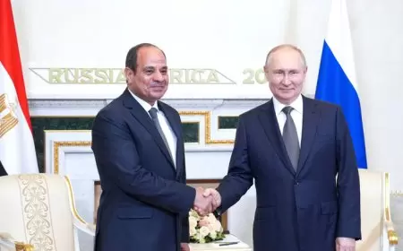 متحدث باسم الرئاسة: مصر سبقت الجدول الزمني المخطط لإنشاء محطة الضبعة وهي لحظة تاريخية خالدة