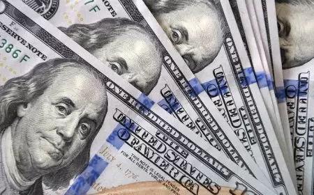 صحيفة: سرقة 1.2 مليون دولار من طائرة فالكون روسية تحطمت في أفغانستان