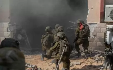 صحة غزة: لا طعام ولا أدوية تخدير بمستشفى ناصر