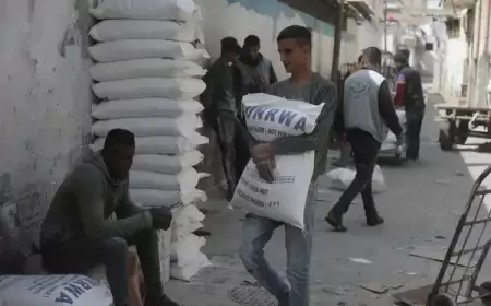 اليابان تعلق تمويل وكالة "الأونروا"