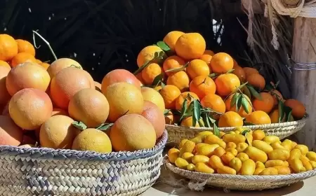 تناول الحمضيات بعد الطعام مباشرة قد يكون مضراً.. تعرَّف على الأسباب