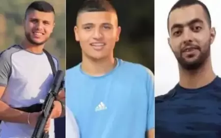 الاحتلال يغتال 3 شبان أحدهم جريح داخل مستشفى بجنين