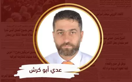 متلازمة تقديم المشكلة بوصفها الحل