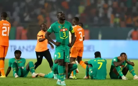 نجم السنغال لأعضاء الاتحاد الإفريقي: أنتم فاسدون