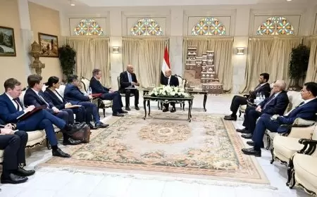 العليمي يدعو إلى اتخاذ إجراءات "أكثر حزما" ضد الحوثيين