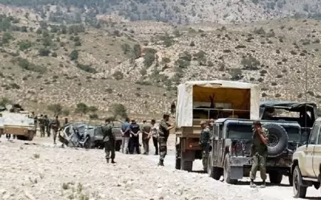 تونس.. إعادة تأهيل مركز التخييم بالشعانبي بعد أكثر من 10 سنوات من غلقه بسبب الإرهاب