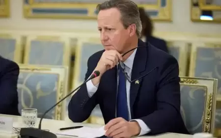 تفاصيل خطة كاميرون لـ«الخروج من عنق الزجاجة» في غزة