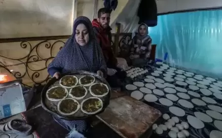 "خيمة مناقيش الزعتر" مصدر رزق في الحرب على غزة