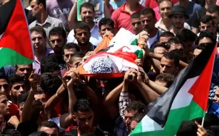 5 شهداء و163 معتقلاً بالقدس خلال يناير المنصرم