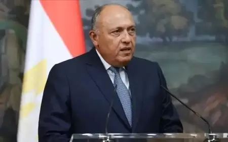 مصر تدعو لوقف إطلاق النار في قطاع غزة