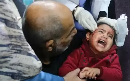 ارتفاع حصيلة ضحايا الحرب إلى 27 ألفا و478 شهيدا