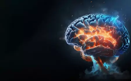 دراسة تكشف مفاجأة عن الدماغ والنسيان!