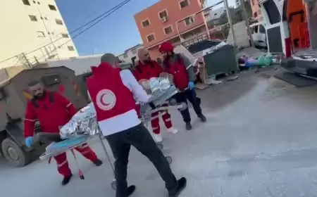 إصابة شاب وثلاث نساء وقصف منزل بالقذائف في مخيم نور شمس